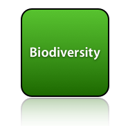 Biodiversity - Time4Change